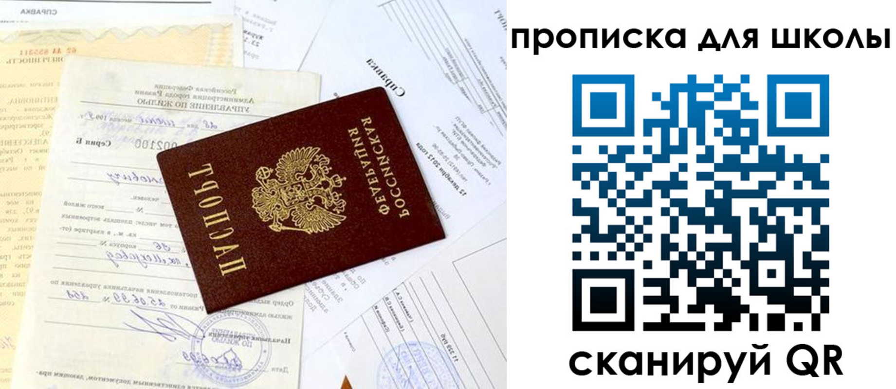 прописка иностранных граждан в Ленинградской области